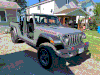 naked jeep.gif