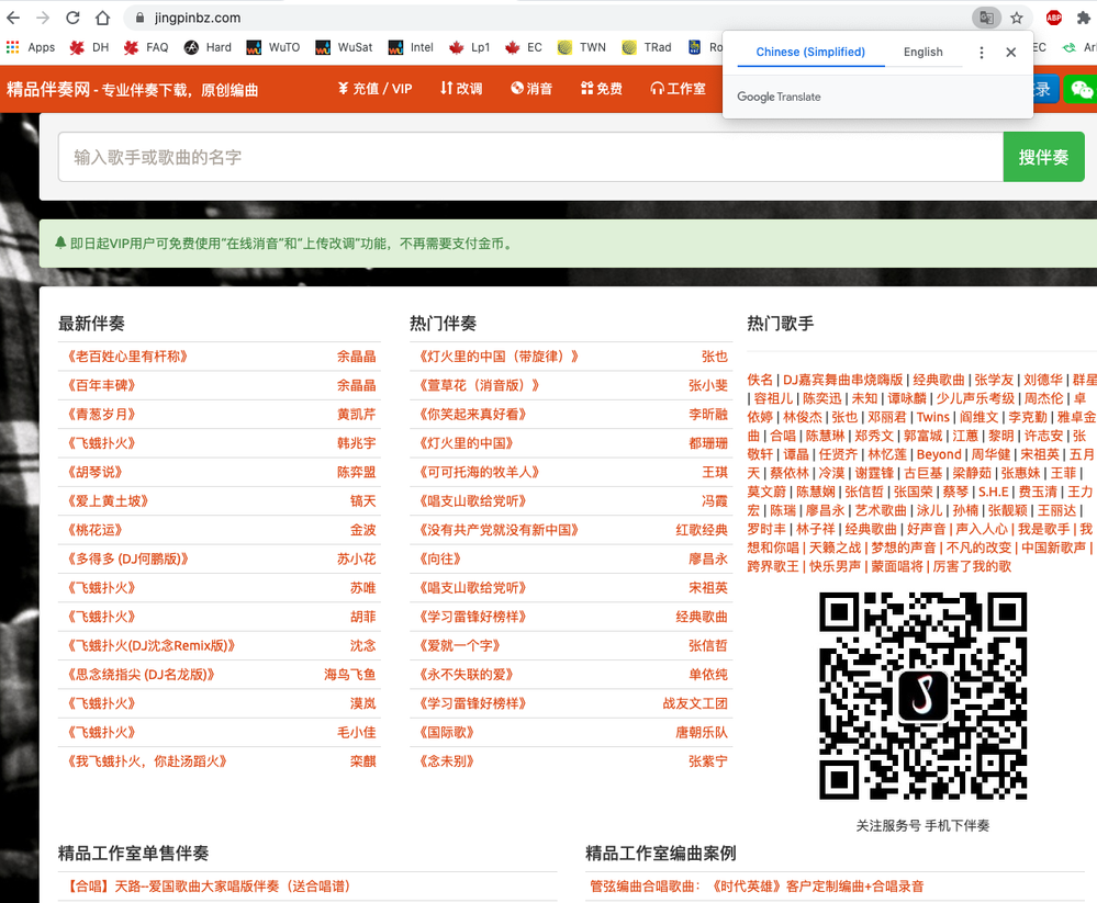 Chinese Website