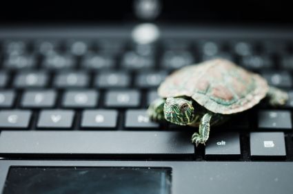 keyboard_turtle.jpg