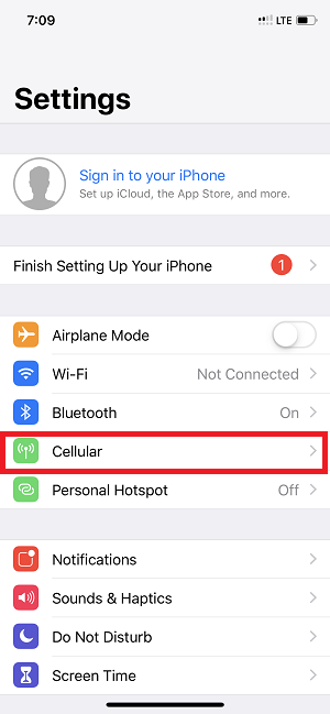 iPhone Settings with red box.png