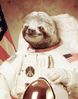 space sloth.jpg